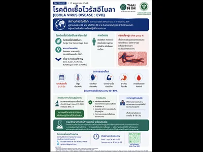 https://nih.dmsc.moph.go.th/upload/nw/webp/pic-600278120.png.webp